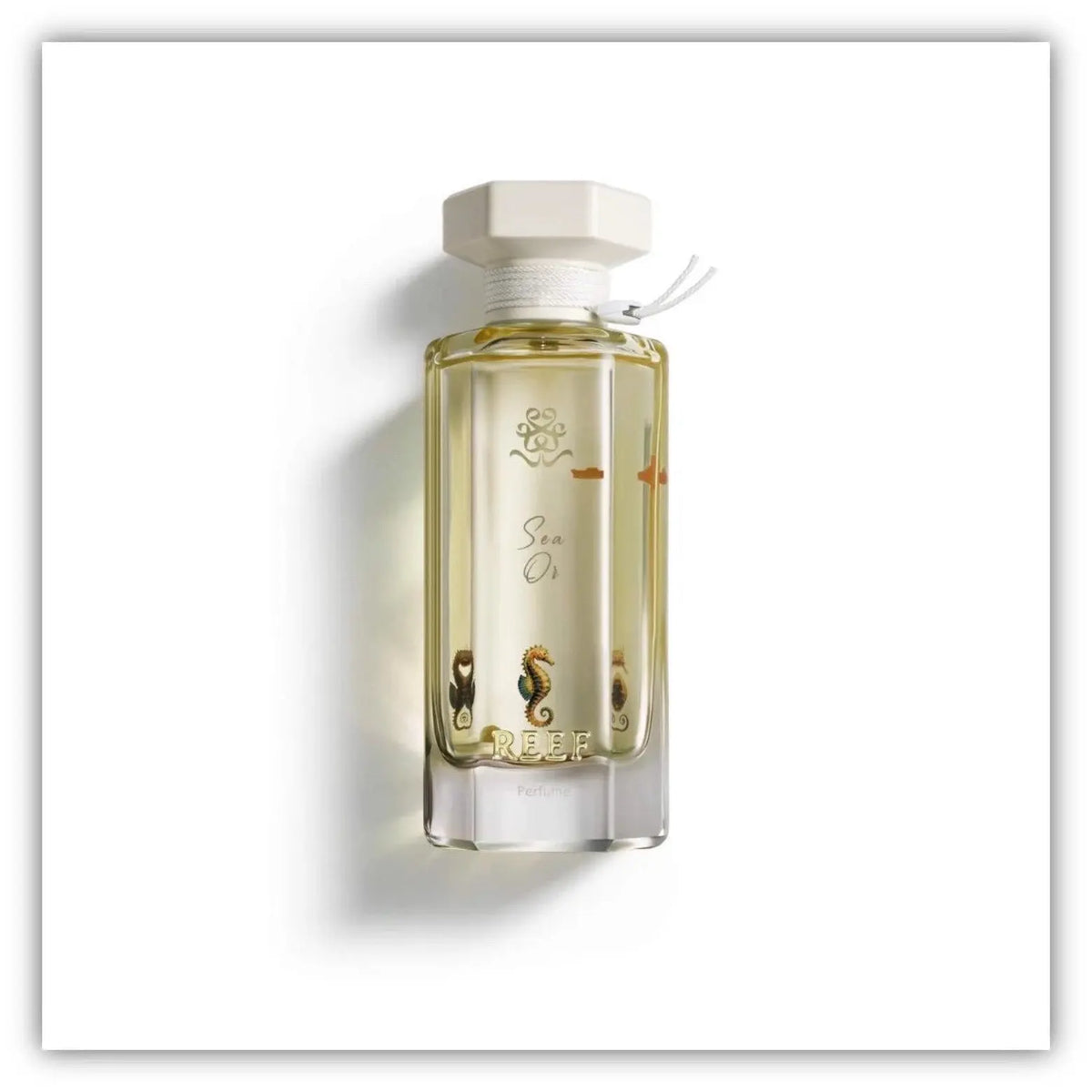 Sea Or Perfume - Reef Qamariya Perfume