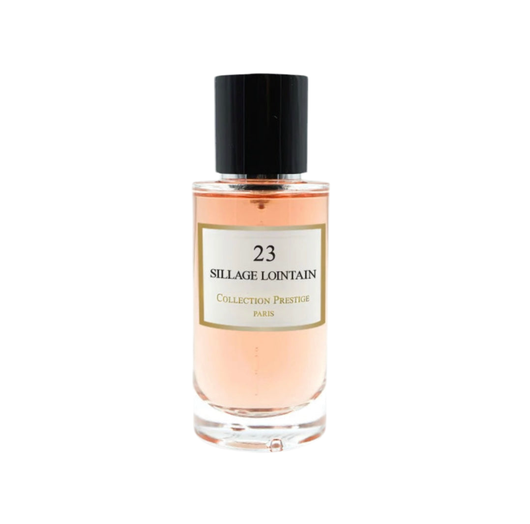 Sillage lointain 23