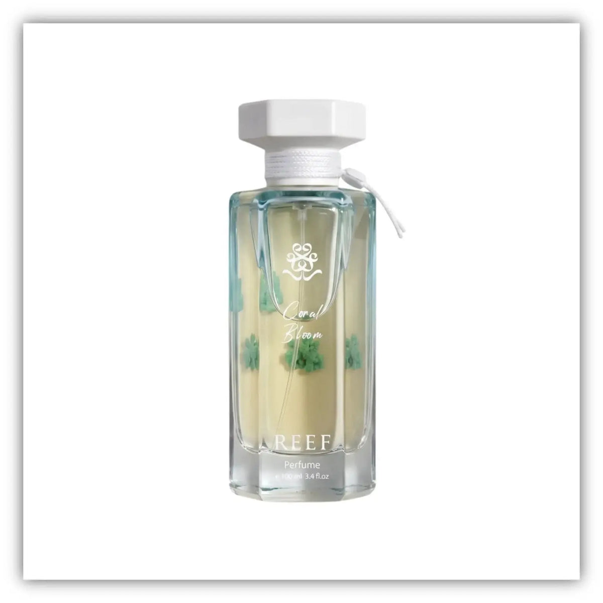Coral Bloom - Reef Qamariya Perfume