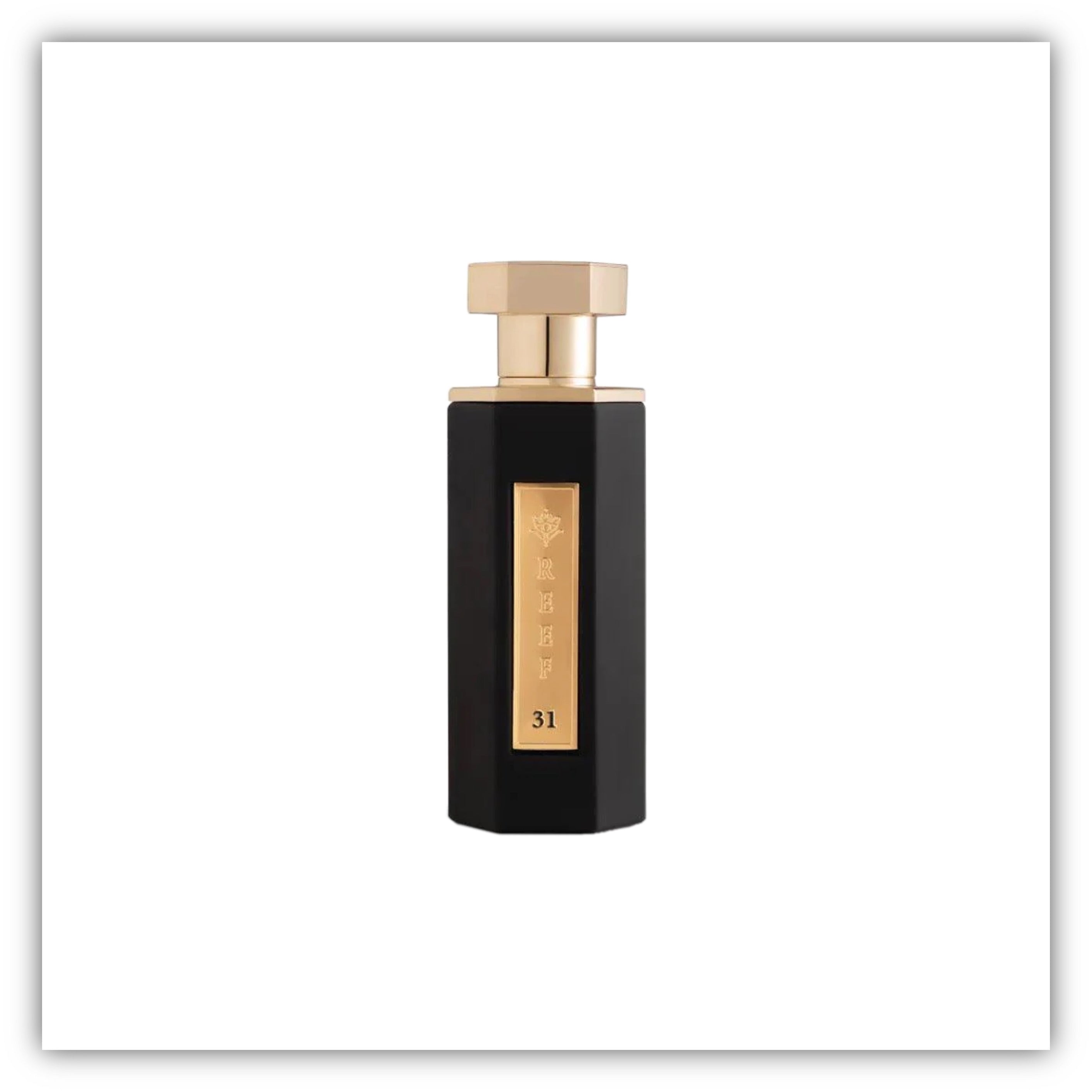 Reef 31 (100ml)
